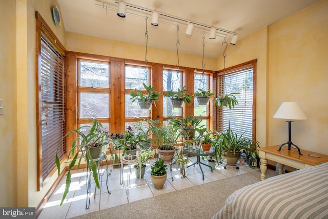 bedroom featuring light carpet, rail lighting, and multiple windows