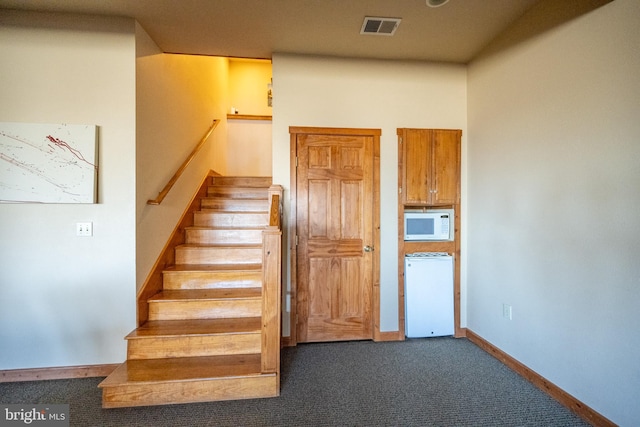 stairs with carpet floors