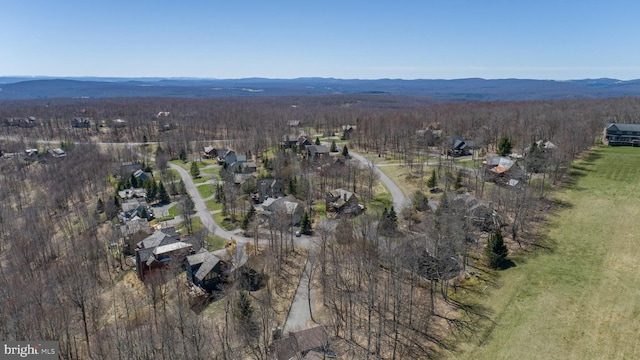 bird's eye view with a mountain view