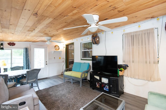 living room with dark hardwood / wood-style floors, wooden ceiling, and ceiling fan