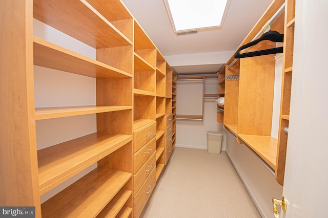 walk in closet with light colored carpet