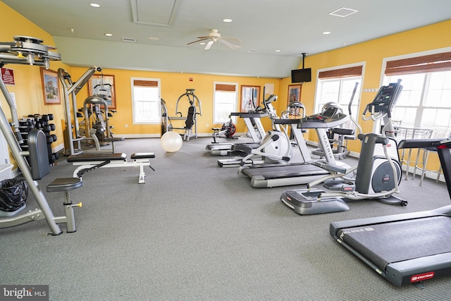 workout area featuring a wealth of natural light and ceiling fan