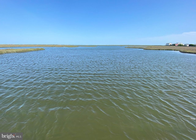 view of water feature