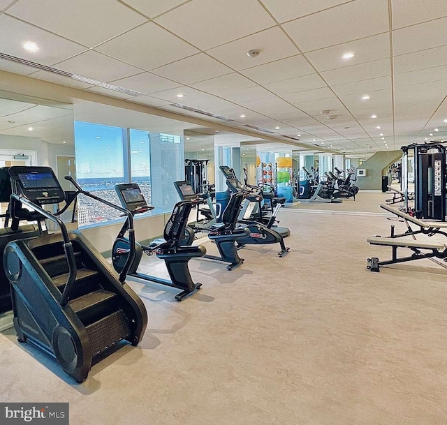 workout area featuring a drop ceiling and light colored carpet