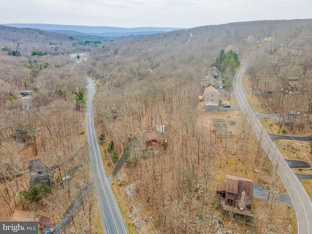 view of bird's eye view