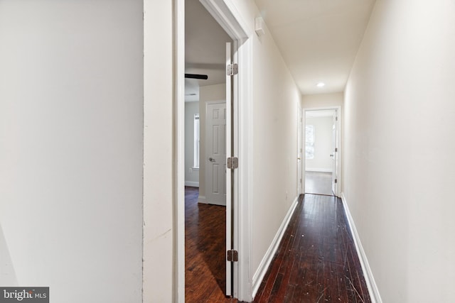 hallway with dark wood-type flooring