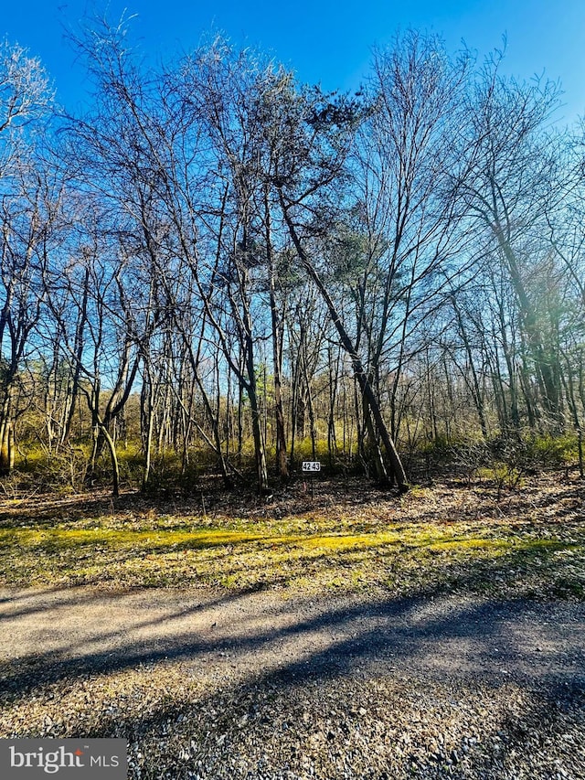 LOT43 Paradise Pt, James Creek, PA 16657