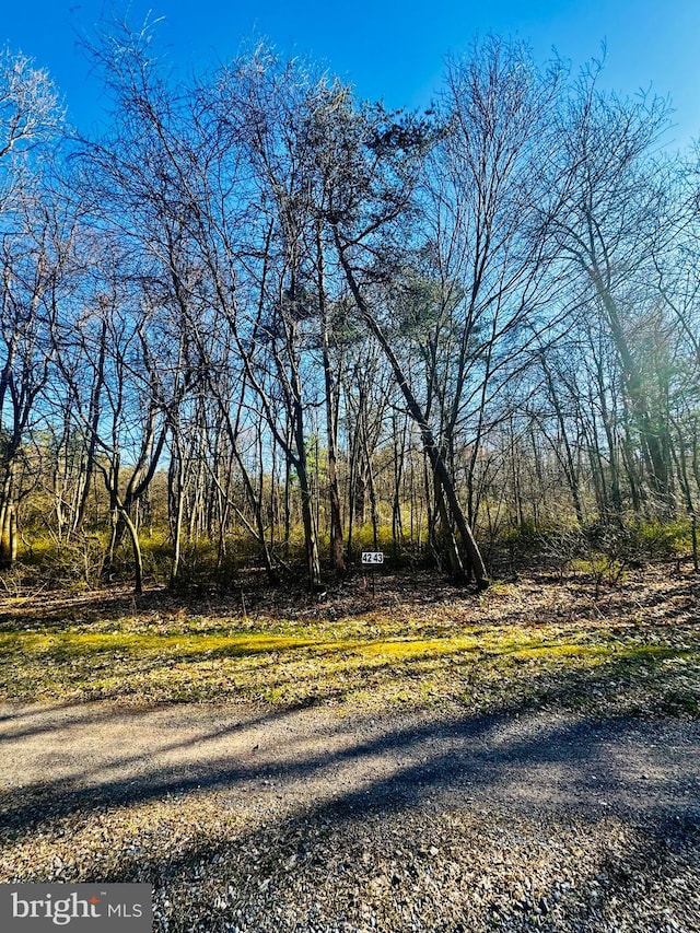 LOT43 Paradise Pt, James Creek PA, 16657 land for sale