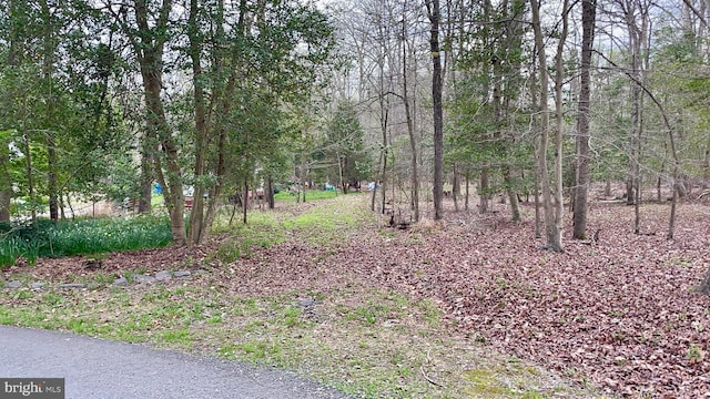 10822 Harley, Lorton VA, 22079 land for sale