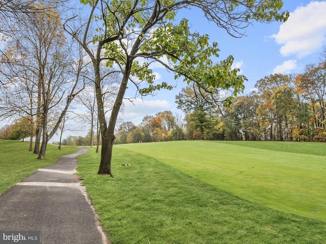 surrounding community featuring a lawn