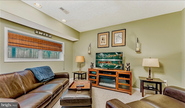 carpeted living room with a textured ceiling