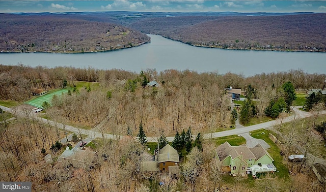 bird's eye view featuring a water view