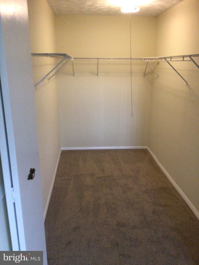 spacious closet with dark colored carpet