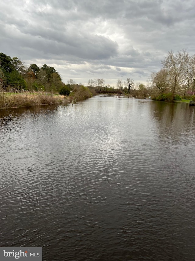 view of water feature