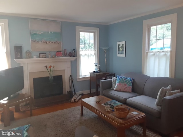 living area with a fireplace, crown molding, and wood finished floors