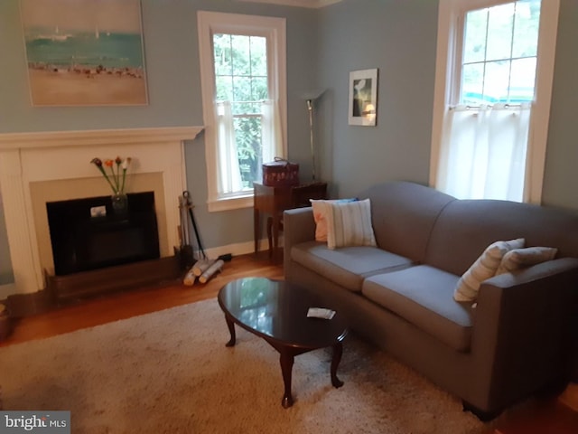 living area featuring a fireplace with raised hearth and wood finished floors