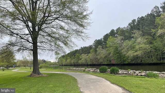 view of home's community with a water view, a lawn, and a wooded view