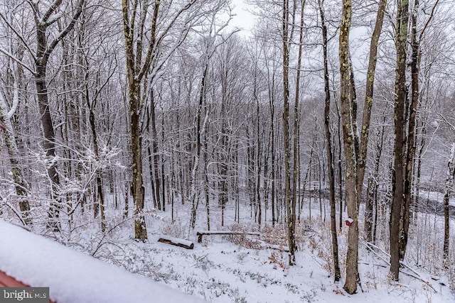 view of snow covered land