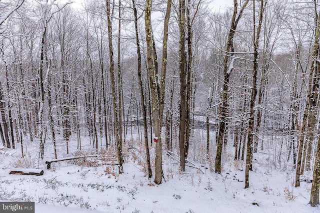 view of snowy view