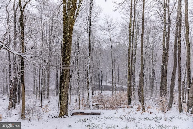 view of snow covered land