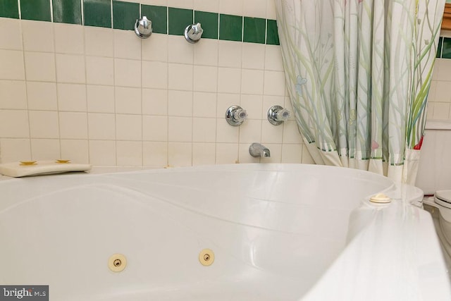 bathroom with toilet and a bathing tub