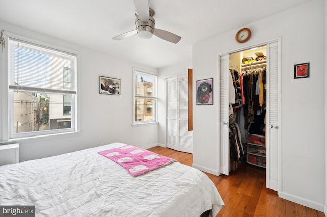 bedroom with wood-type flooring, ceiling fan, two closets, and multiple windows