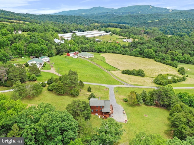 birds eye view of property featuring a mountain view