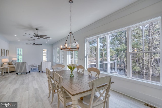 dining space featuring a wealth of natural light, ceiling fan with notable chandelier, and light hardwood / wood-style flooring