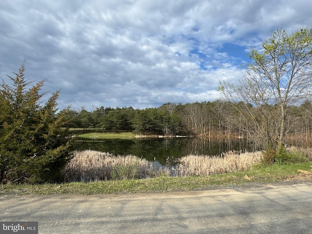 view of local wilderness