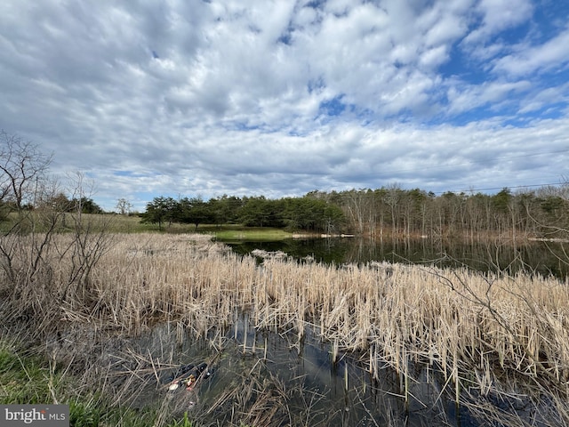 view of local wilderness with a water view