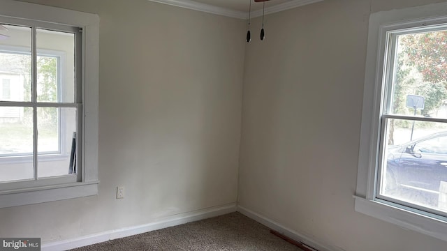 carpeted empty room featuring ornamental molding