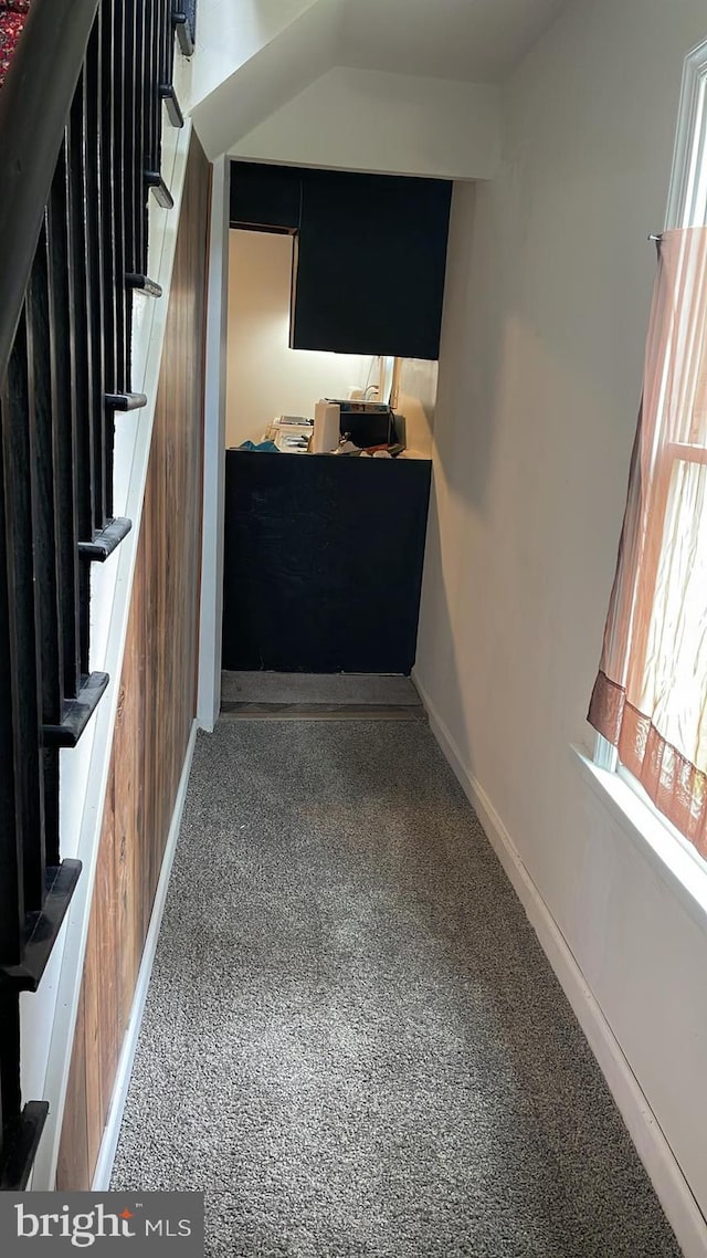 stairway with dark carpet