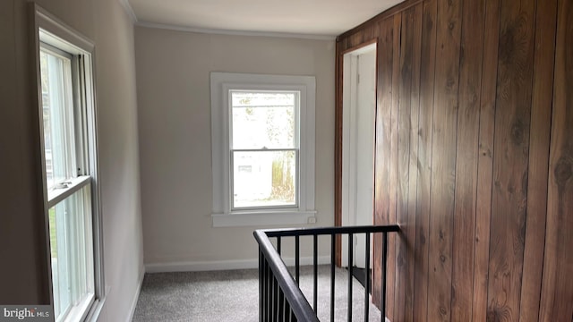 corridor with wood walls, carpet, and a wealth of natural light