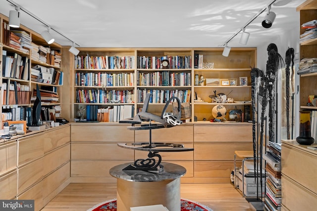 interior space with light hardwood / wood-style floors and track lighting