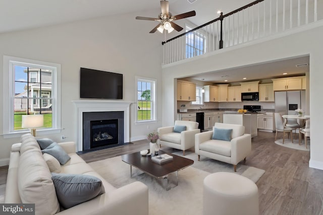 living room with high vaulted ceiling, a healthy amount of sunlight, and light hardwood / wood-style floors