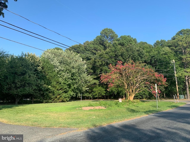 Radcliffe Ave, Saint Michaels, MD 21663