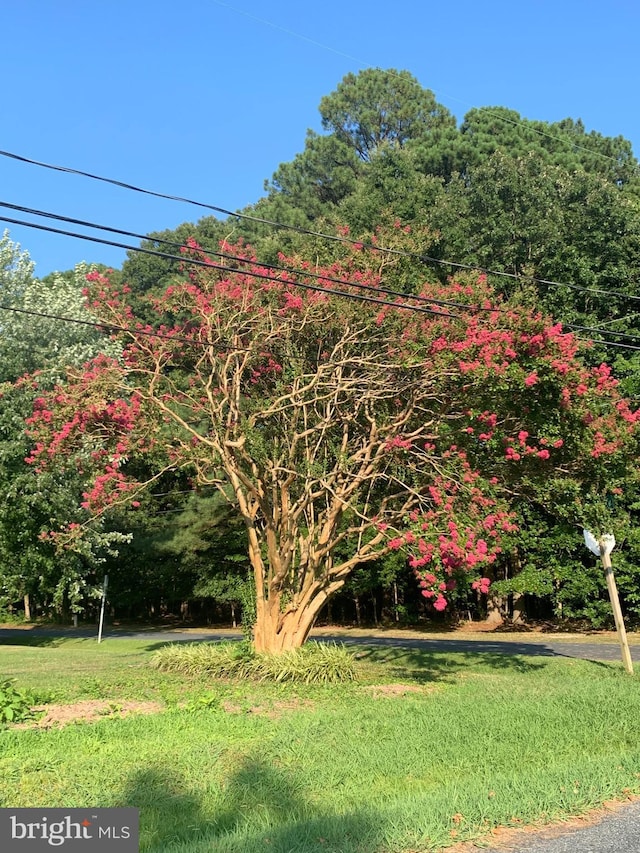 Radcliffe Ave, Saint Michaels, MD 21663
