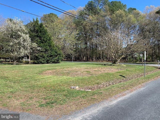 Radcliffe Ave, Saint Michaels, MD 21663