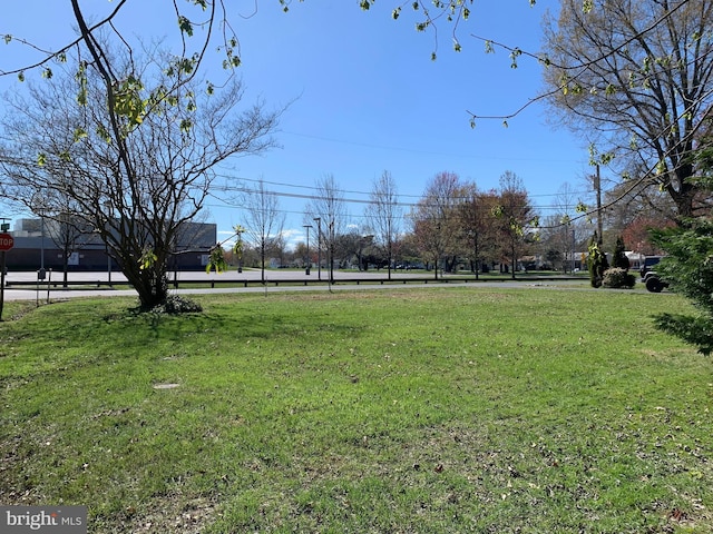 Radcliffe Ave, Saint Michaels, MD 21663