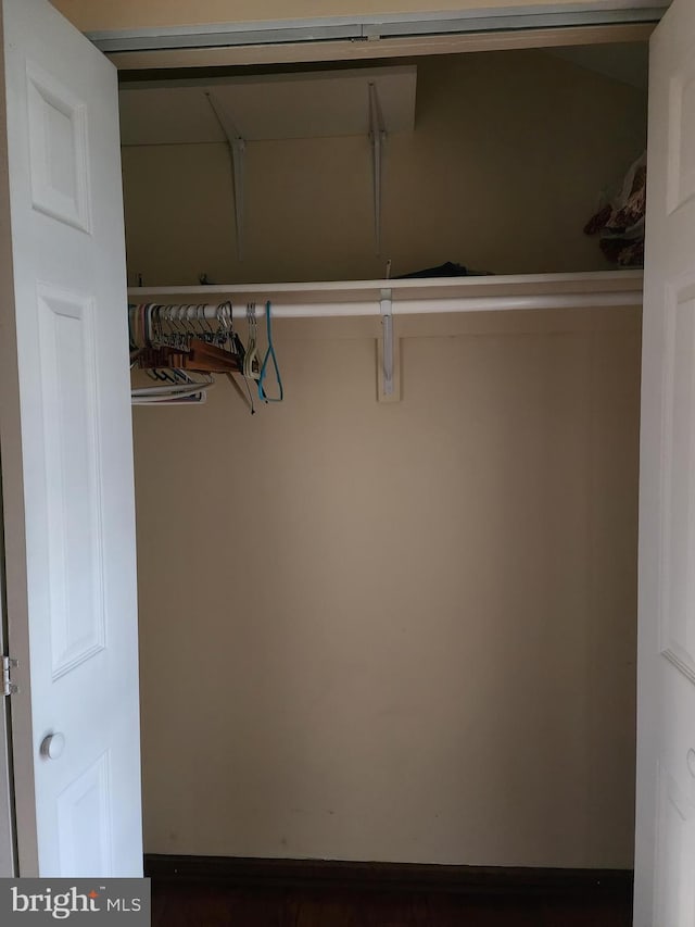 view of closet