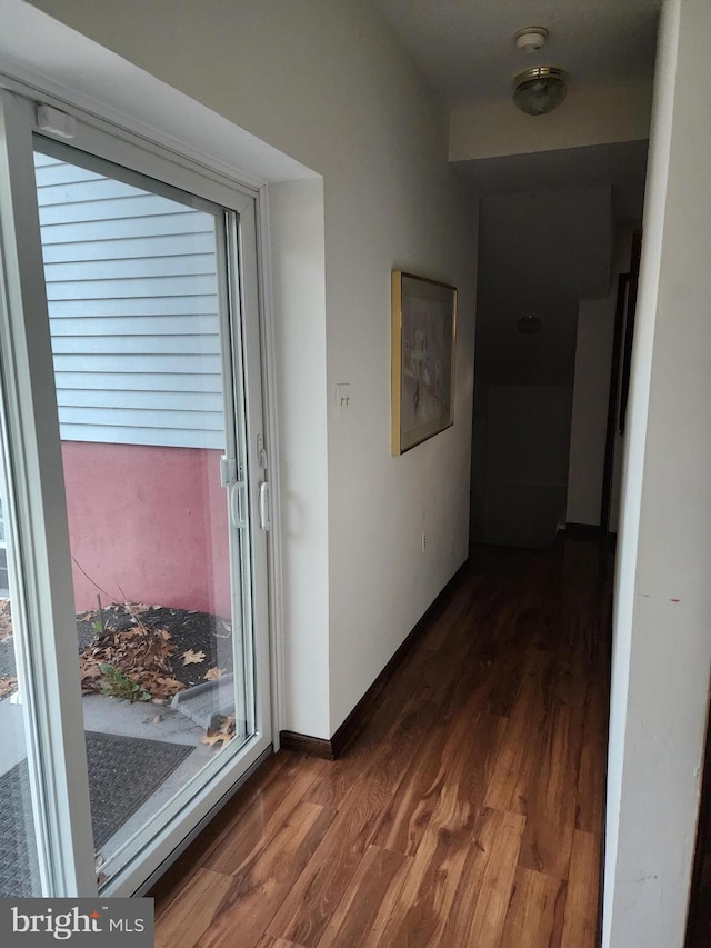 hallway featuring dark wood-type flooring