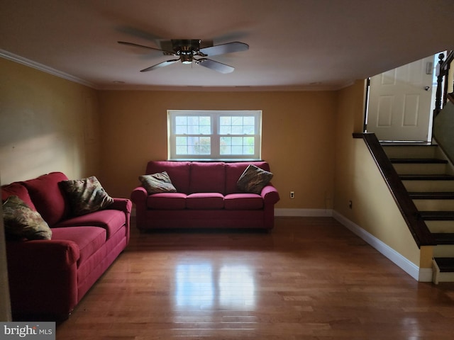 living room with dark hardwood / wood-style floors, ceiling fan, and crown molding