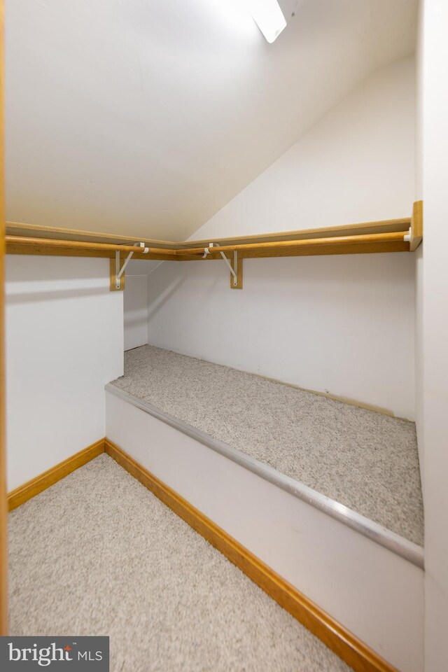 walk in closet featuring carpet and lofted ceiling