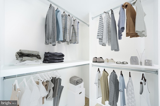 spacious closet featuring light wood-type flooring