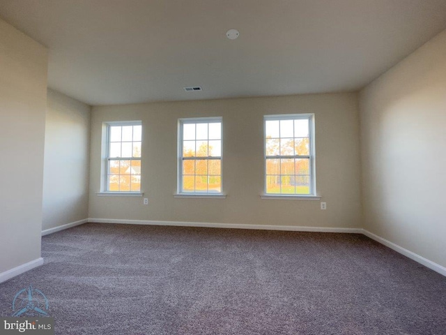 carpeted empty room featuring a wealth of natural light