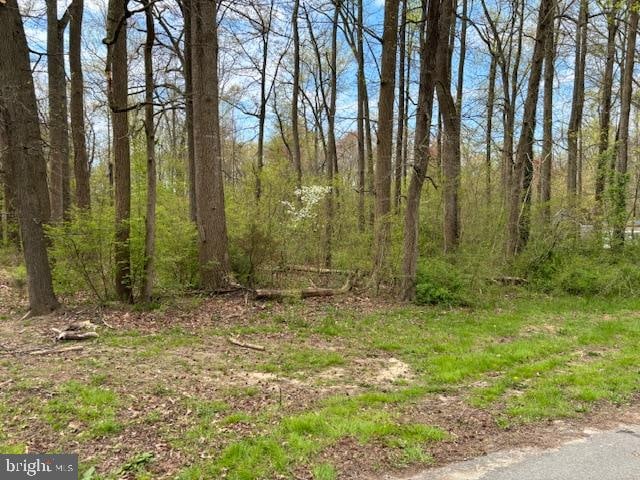 194 Grays Ln, Magnolia DE, 19962 land for sale