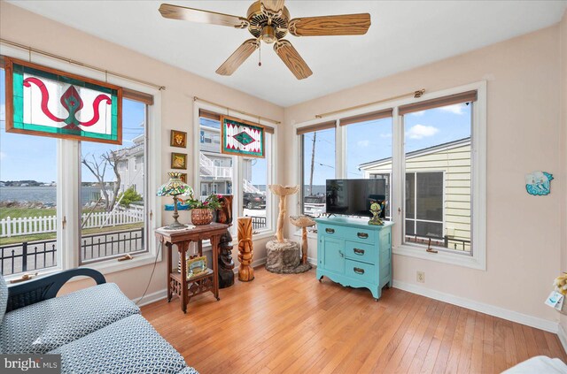 interior space featuring ceiling fan and light hardwood / wood-style flooring