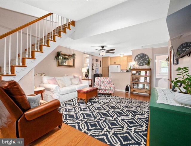 living room with ceiling fan and wood-type flooring