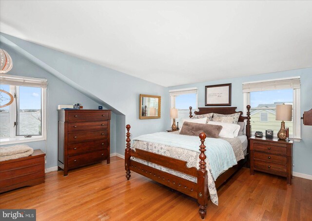 bedroom featuring multiple windows and light wood-type flooring