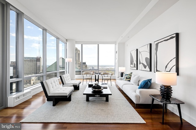 living room with a wall of windows and dark hardwood / wood-style flooring